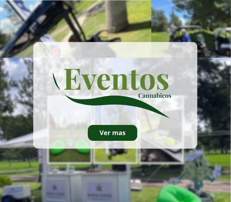 Promoción