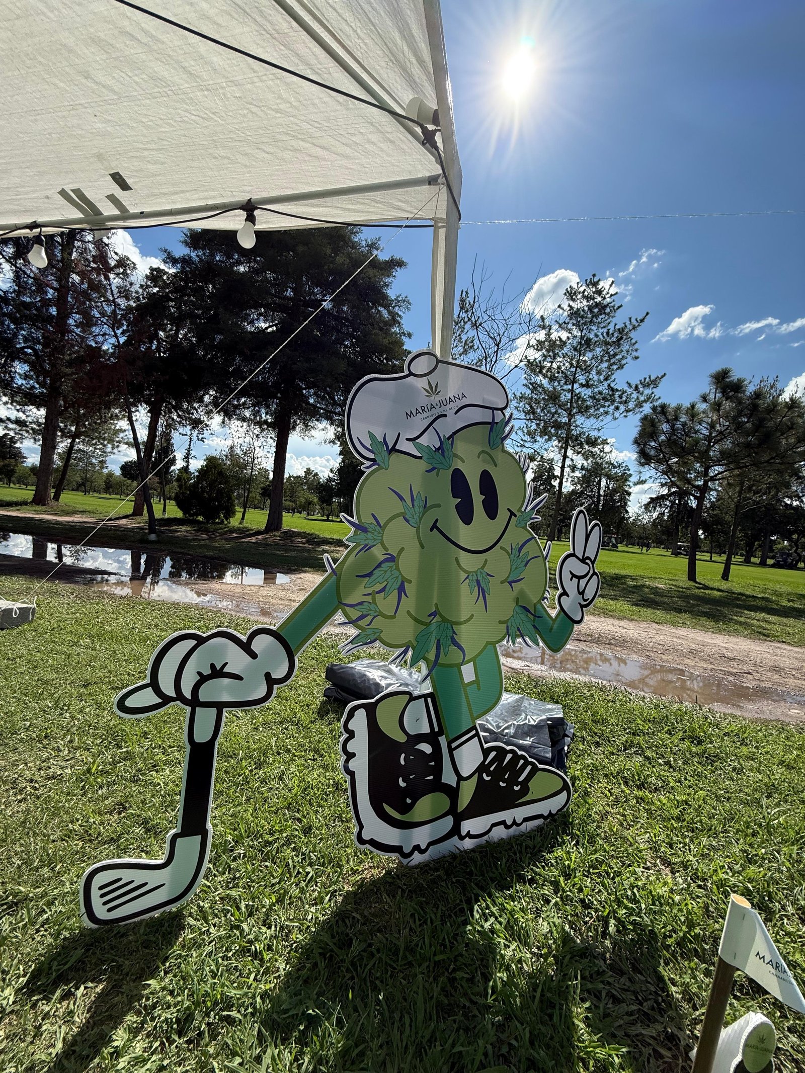 Galería 6